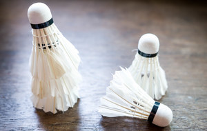 Stage de Badminton