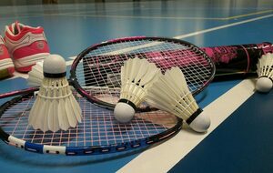 Stage de badminton du 01/07/2024 au 05/07/2024 (complet)